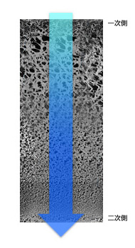 一次側の目は粗く、二次側に向かって徐々に細かくなる非対称膜構造の写真