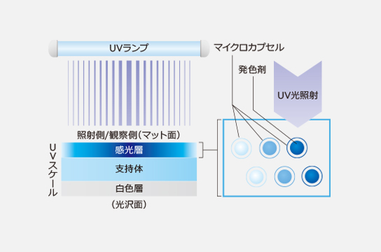 支持体の両面に感光層と白色層が設けられている。感光層のマイクロカプセル中の発色剤にUV光が照射されると発色する。